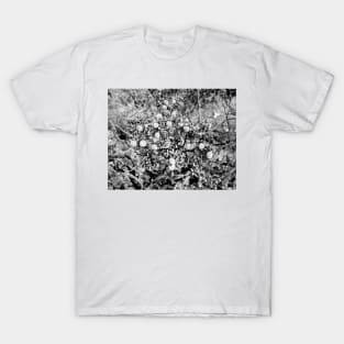 Monochromatic Bokeh T-Shirt